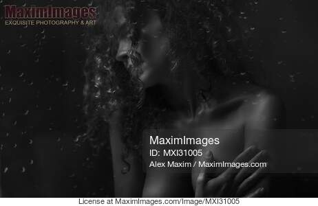 Sensual art nude black and white portrait of a woman...... preview image