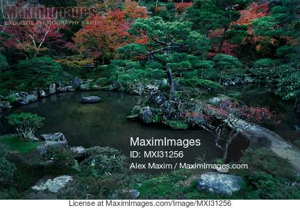 Pond with a bridge and a black pine tree in a Japanese Zen...... preview image