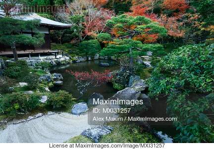 Japanese pond garden near Kannon-den hall of Jisho-ji...... preview image