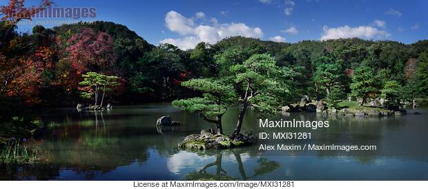 Panoramic landscape scenery of pine trees in a pond at...... preview image