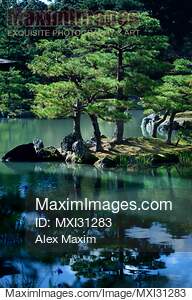 Tranquil scenery of pine trees reflecting in the water of a...... preview image