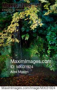 Sengetsusen small waterfall in Ginkaku-ji Temple Zen garden...... preview image