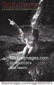 Beautiful naked woman lying on a trunk of a tree in the...... preview image