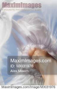 Sensual abstract of woman half nude body under a flying...... preview image