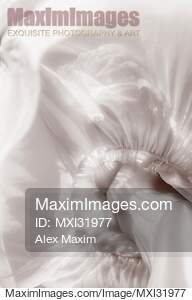 Abstract sexy woman half-naked body in sunlight under a...... preview image
