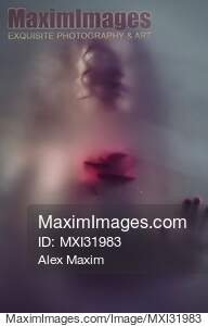 Dream-like ghostly sensual woman face with red rose behind...... preview image