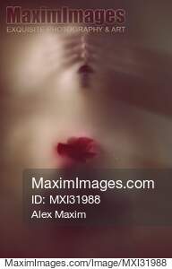 Mysterious abstract sensual portrait of woman with her eyes...... preview image