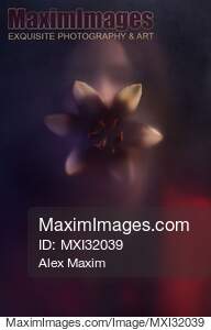 Snake-like monstrous woman with an open lily flower in her...... preview image