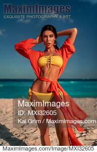 Sexy exotic woman with suntanned skin in a bright bikini...... preview image