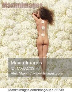 Woman lying nude on a bed of white hydrangea flowers view...... preview image