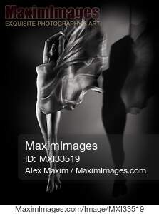 Beautiful half-naked woman with wing-like cloth wrapped...... preview image