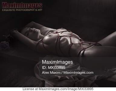 Beautiful nude woman with a rose lying tied up on the floor...... preview image