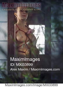Beautiful woman with a rose standing at a window with...... preview image