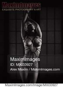 Nude woman standing with Shibari bondage ropes around her...... preview image
