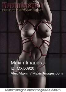 Beautiful nude woman sensual naked body with red Shibari...... preview image