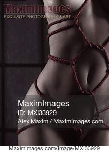 Sensual closeup of a nude woman body with red Shibari...... preview image