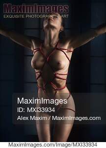 Beautiful nude woman standing with red Shibari bondage...... preview image