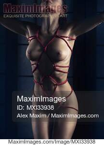 Closeup of a beautiful nude woman body with red Shibari...... preview image