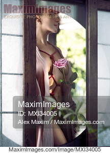Woman standing at a window with Shibari bondage ropes tied...... preview image