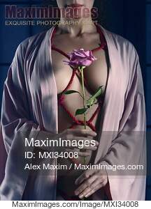 Fine art nude closeup of a woman with red ropes of Shibari...... preview image
