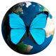 Blue butterfly over the Earth globe... (thumbnail)