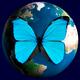 Blue butterfly and the planet Earth globe... (thumbnail)
