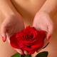 Nude woman with red rose in hands... (thumbnail)