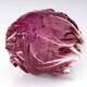 Radicchio... (thumbnail)