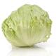 Head Lettuce... (thumbnail)
