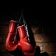 Boxing Gloves... (thumbnail)