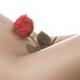 Beautiful nude woman body with red rose on stomach... (thumbnail)