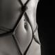 Closeup of a Stomach with Decorative Rope Bondage Shibari... (thumbnail)