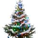Christmas Tree... (thumbnail)