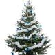 Christmas Tree... (thumbnail)