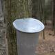 Collecting Sugar Maple Sap... (thumbnail)
