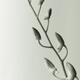 Phalaenopsis Flower Buds... (thumbnail)