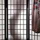 Woman Behind Shoji Screen... (thumbnail)