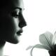 Face of young woman holding lily... (thumbnail)