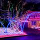 House Decorated with Christmas Lights... (thumbnail)