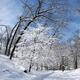 Winter... (thumbnail)