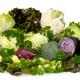 Fresh Vegetable Still Life... (thumbnail)