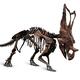 Horned Dinosaur Skeleton... (thumbnail)