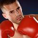 Boxer... (thumbnail)