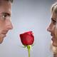Romantic young couple faces... (thumbnail)