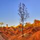 Badlands landscape... (thumbnail)