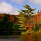 Autumn Nature... (thumbnail)