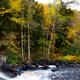 Autumn in Arrowhead Provincial Park... (thumbnail)