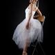 Ballet Dancer... (thumbnail)