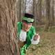 Leprechaun... (thumbnail)
