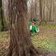Leprechaun... (thumbnail)